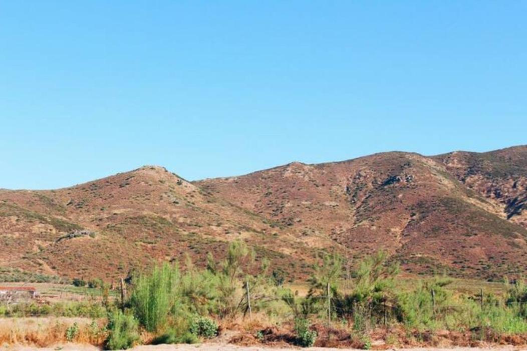 Quintas Marlet En La Ruta Del Vino Ensenada Luaran gambar